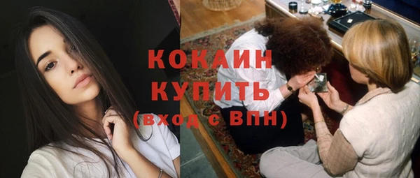 прущие грибы Гусиноозёрск