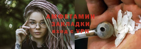 прущие грибы Гусиноозёрск