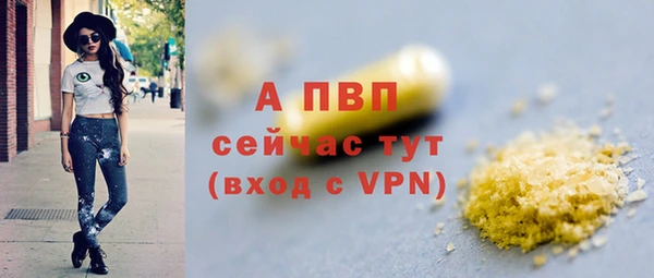 прущие грибы Гусиноозёрск