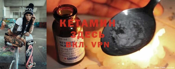 прущие грибы Гусиноозёрск