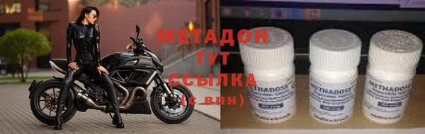 прущие грибы Гусиноозёрск