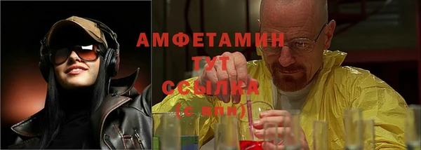 прущие грибы Гусиноозёрск