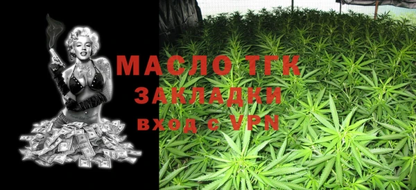 прущие грибы Гусиноозёрск