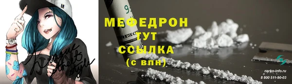 прущие грибы Гусиноозёрск