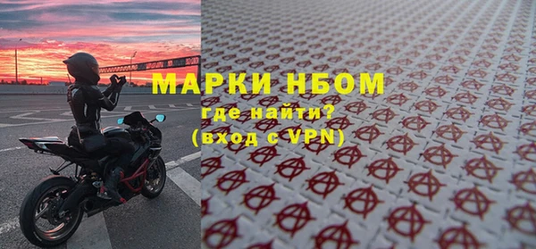 прущие грибы Гусиноозёрск