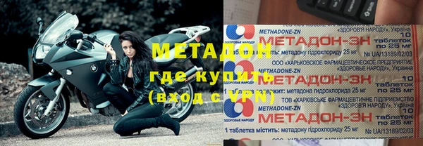 прущие грибы Гусиноозёрск