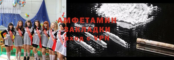 прущие грибы Гусиноозёрск