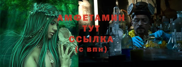 прущие грибы Гусиноозёрск