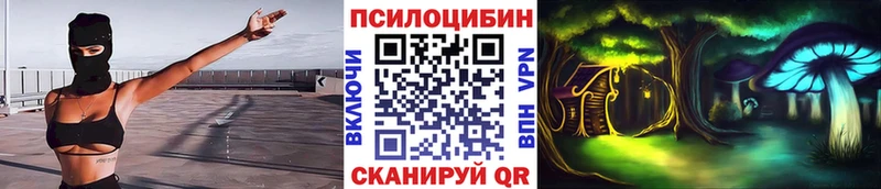 Купить где  Крымск  Псилоцибиновые грибы Cubensis 